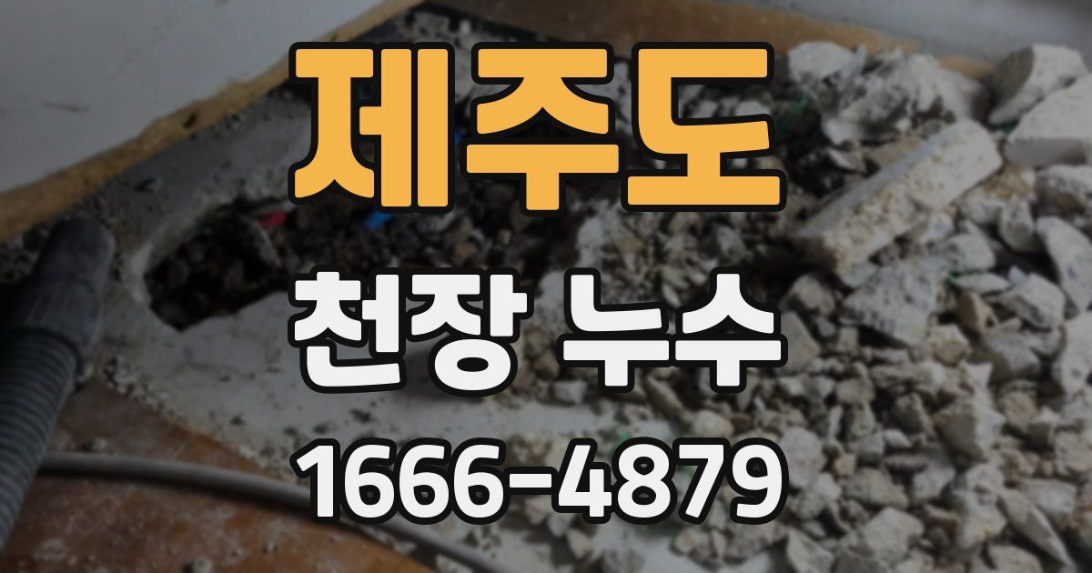 제주도 천장 누수