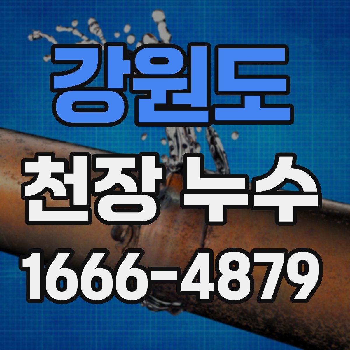 강원도 천장 누수