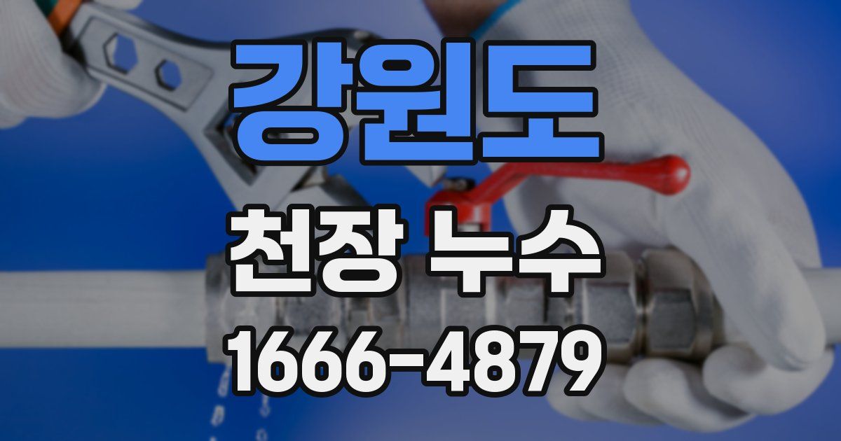 강원도 천장 누수