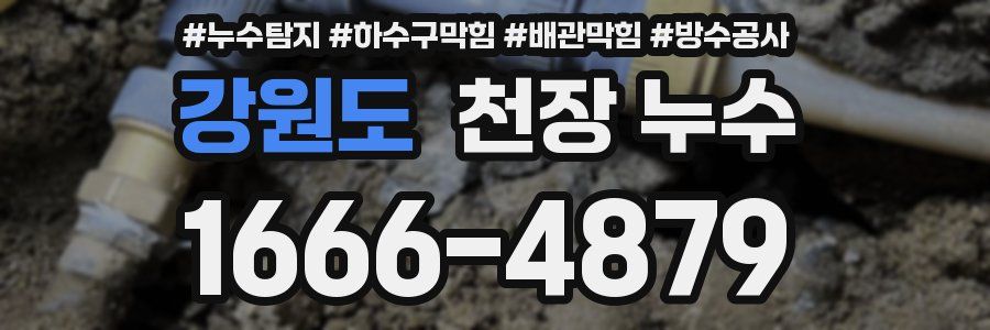 강원도 천장 누수
