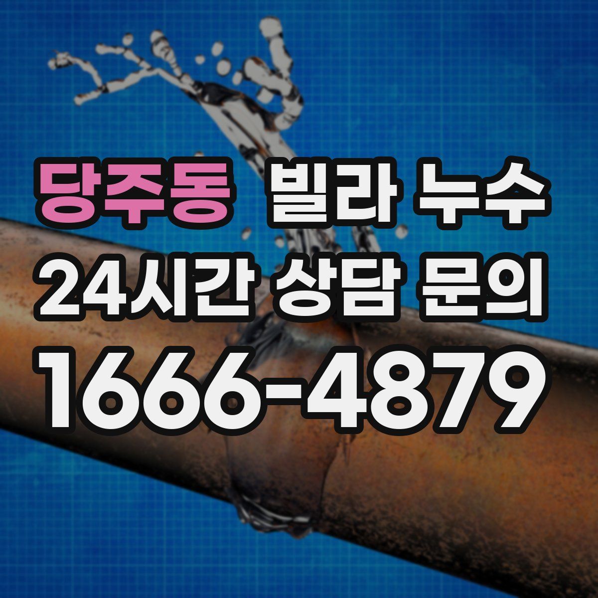 당주동 빌라 누수