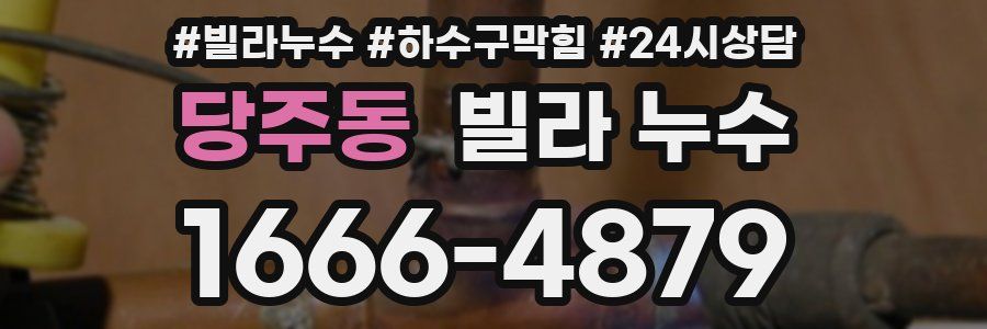 당주동 빌라 누수