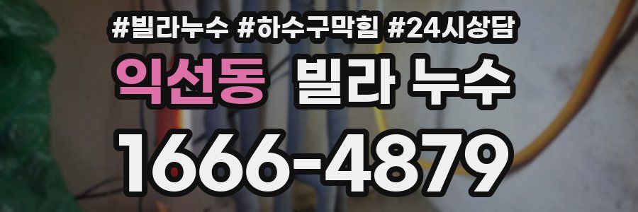 익선동 빌라 누수