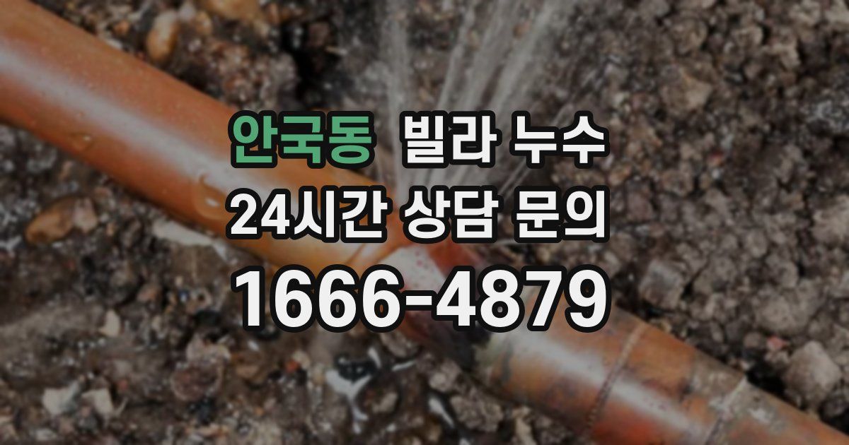 안국동 빌라 누수