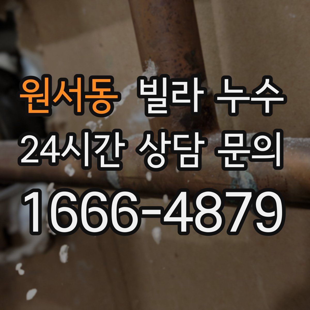 원서동 빌라 누수 세탁실 인근 벽이 젖는다면 확인할 것
