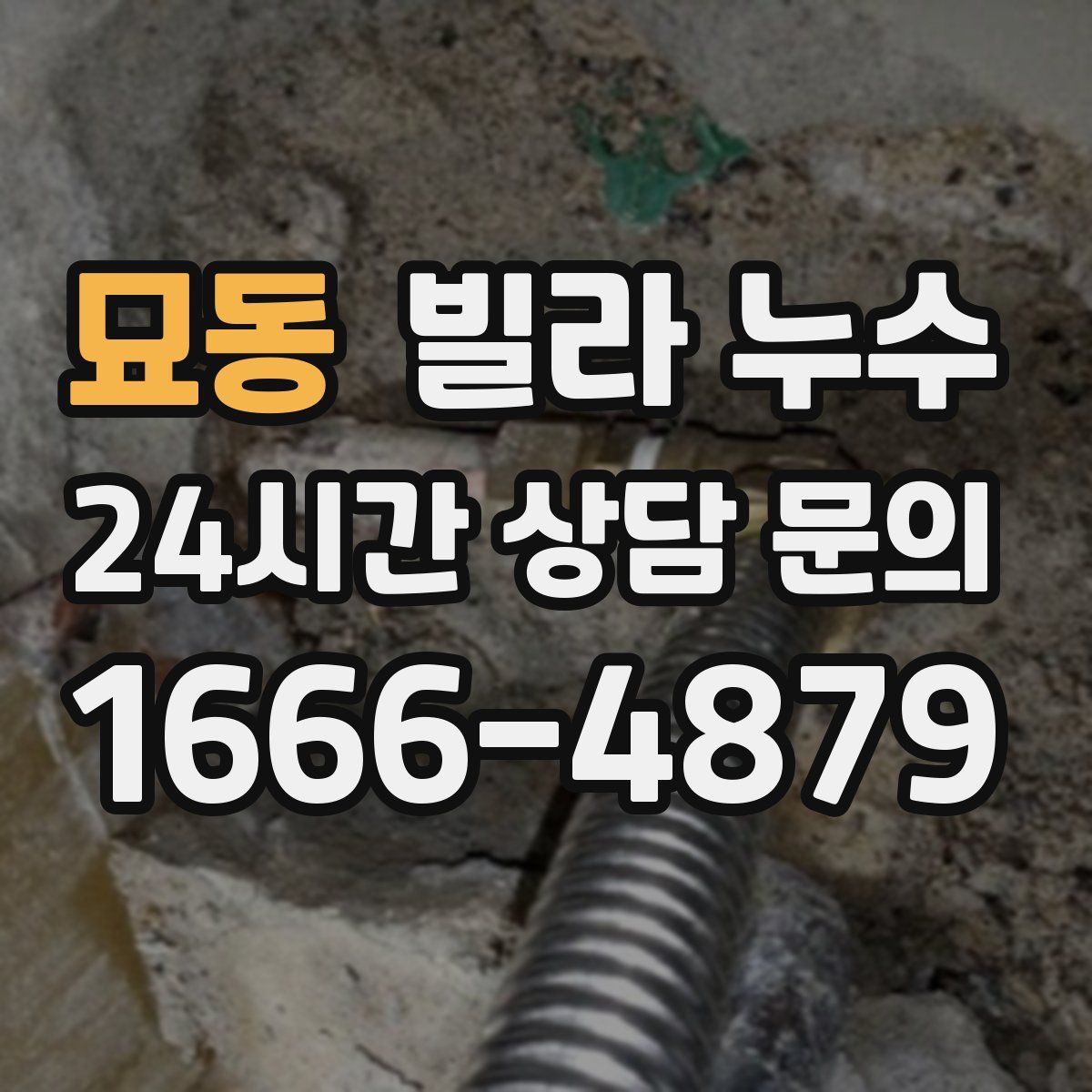 묘동 빌라 누수