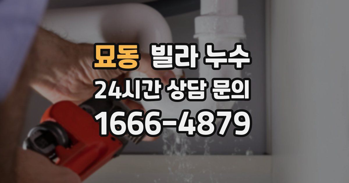 묘동 빌라 누수