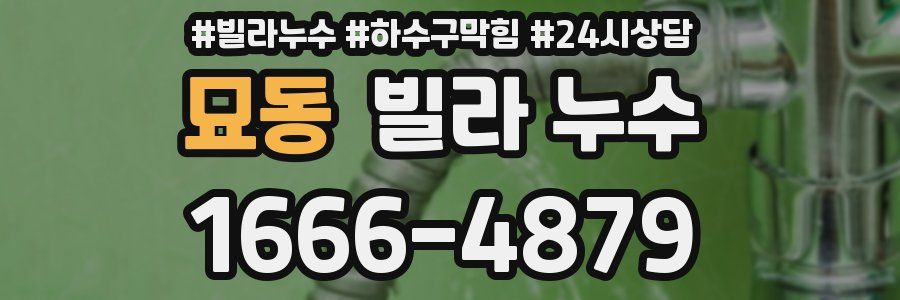 묘동 빌라 누수