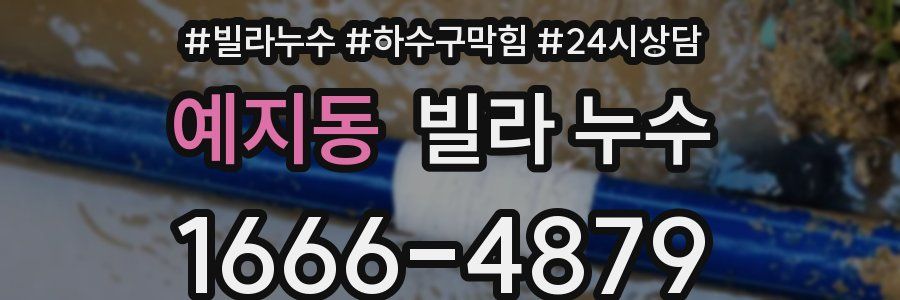 예지동 빌라 누수