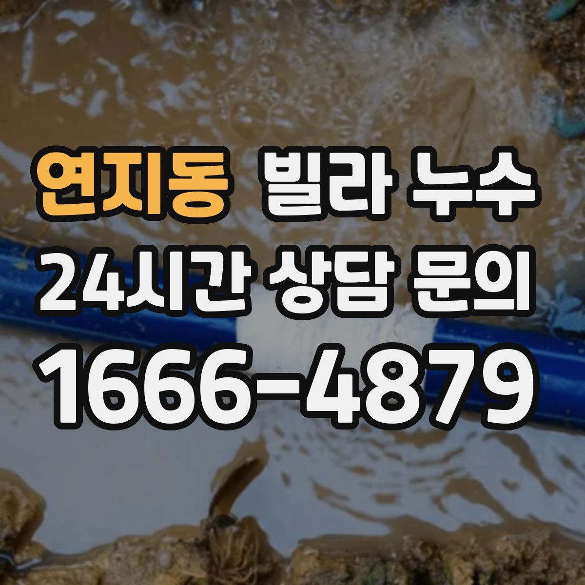 연지동 빌라 누수