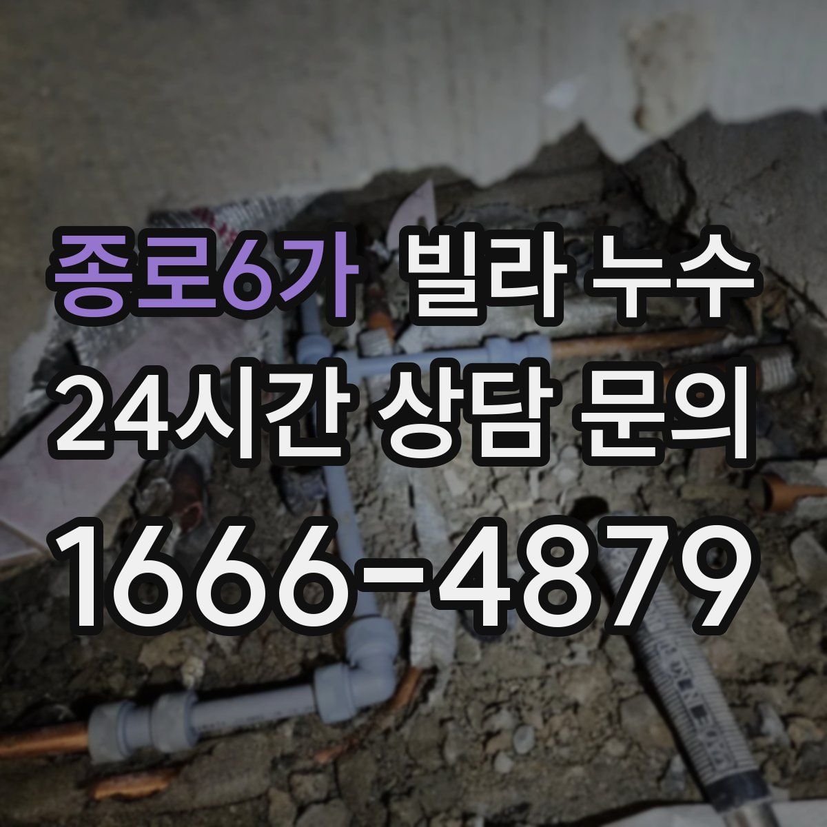 종로6가 빌라 누수