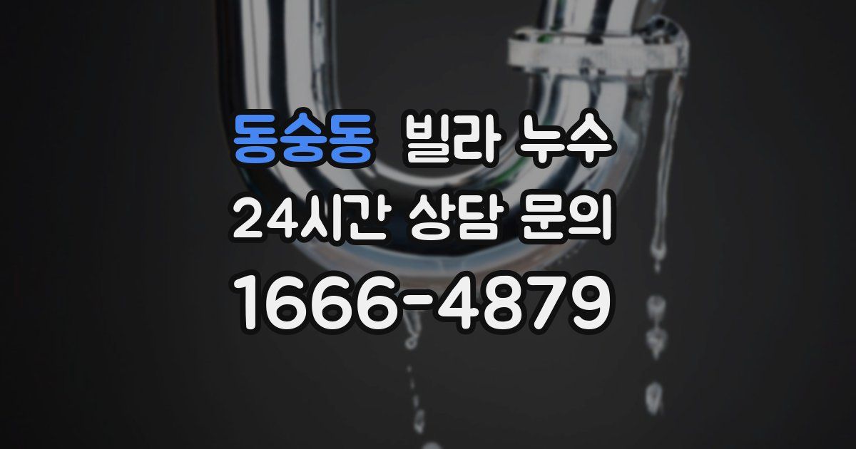 동숭동 빌라 누수