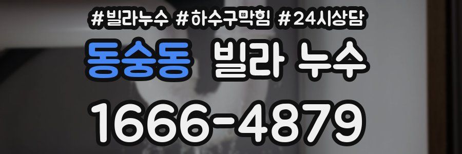 동숭동 빌라 누수