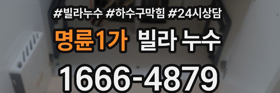 명륜1가 빌라 누수