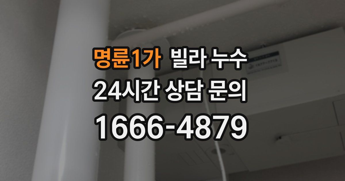 명륜1가 빌라 누수