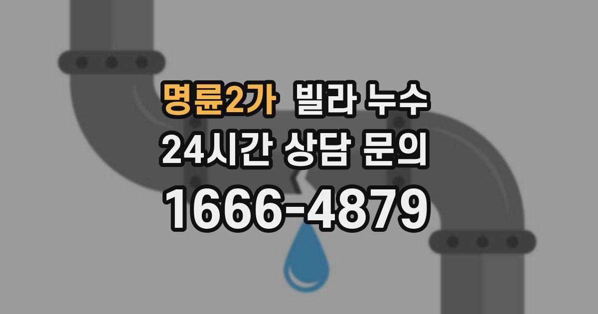명륜2가 빌라 누수