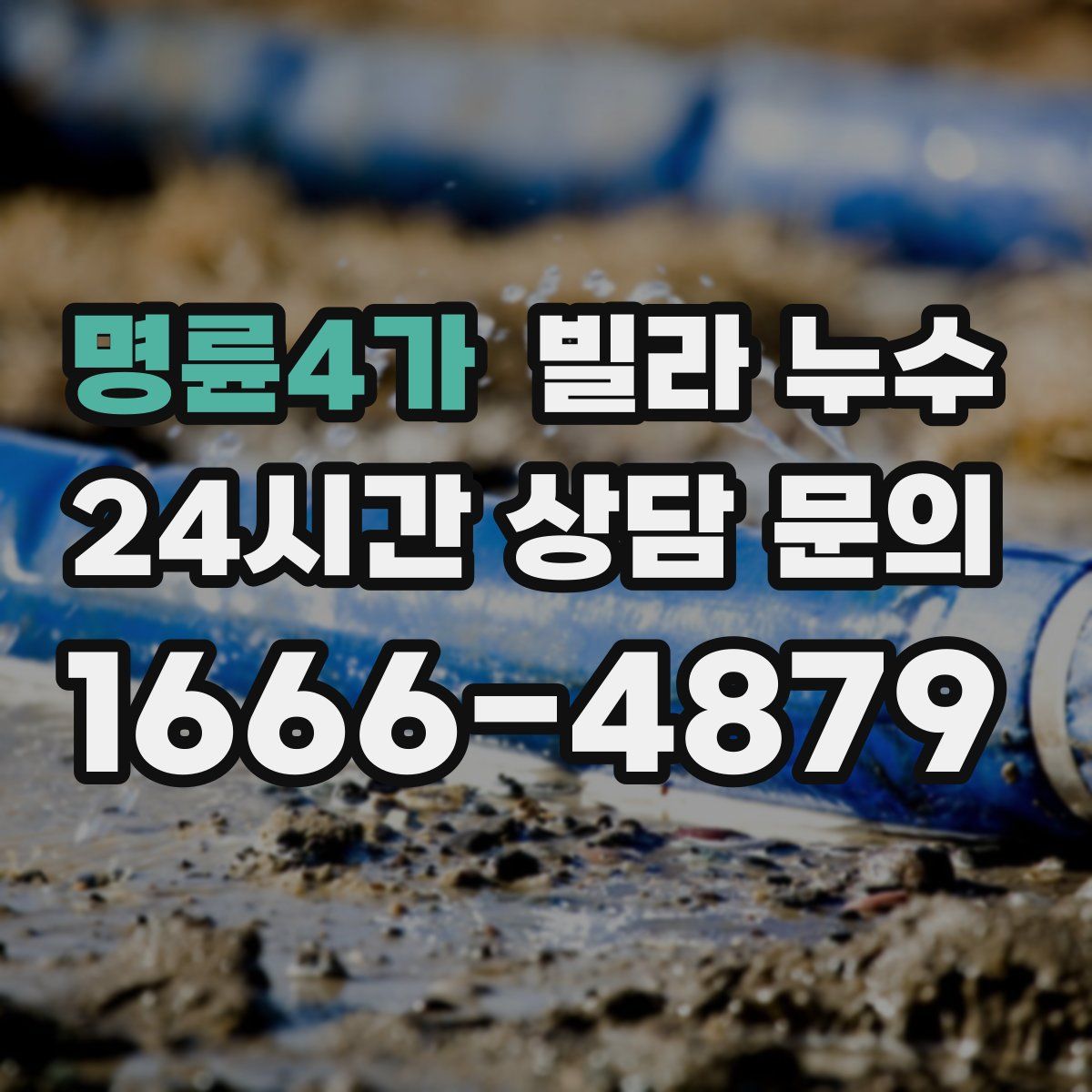 명륜4가 빌라 누수