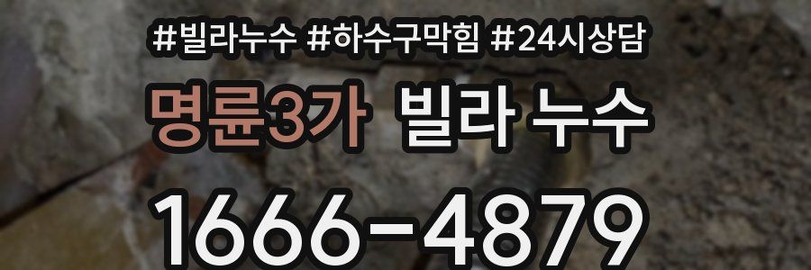 명륜3가 빌라 누수
