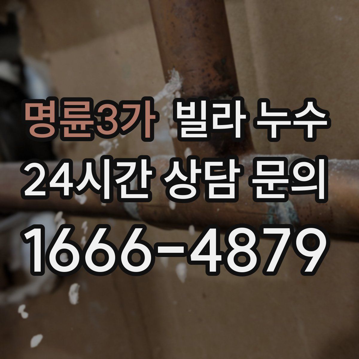 명륜3가 빌라 누수