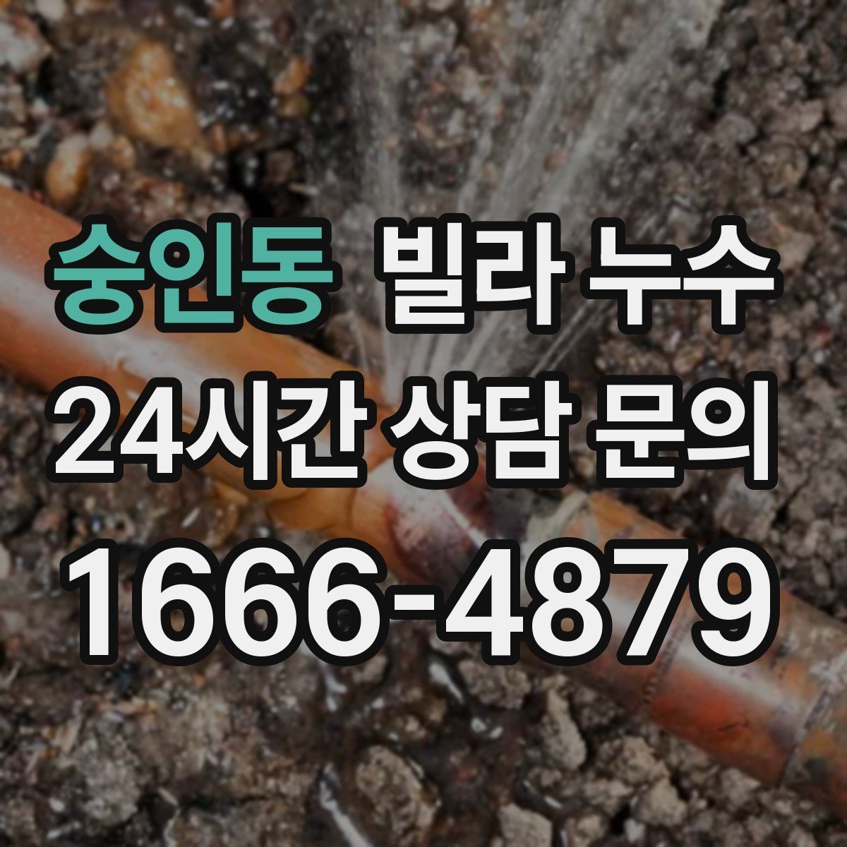 숭인동 빌라 누수 수도계량기함이 축축하면 누수 가능성