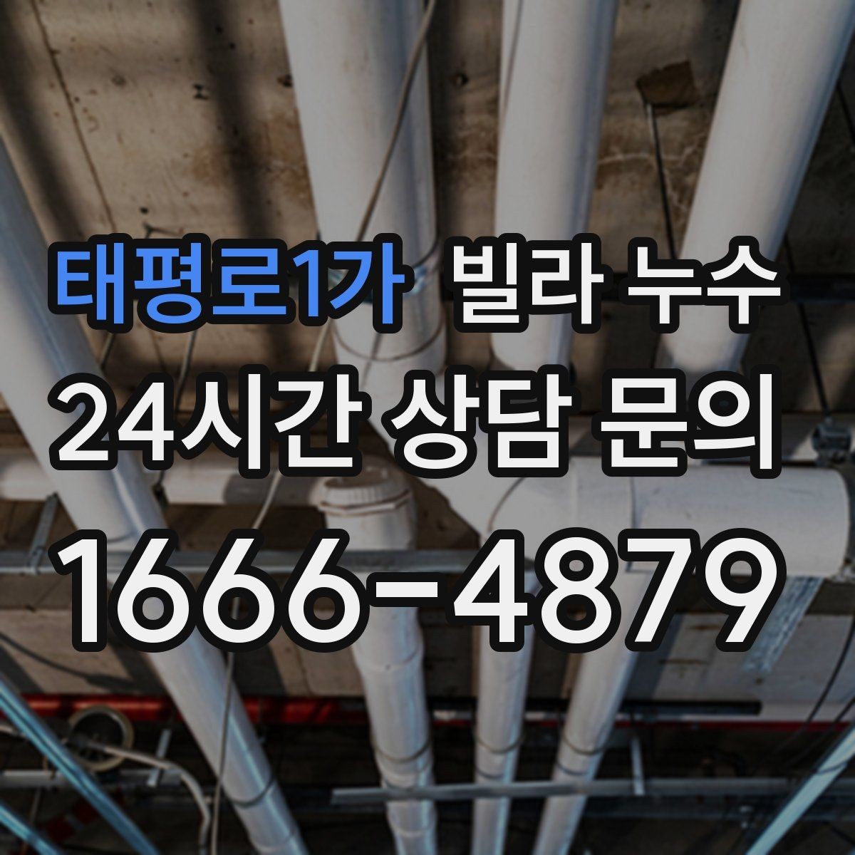 태평로1가 빌라 누수 누수는 원인부터 잡아야 끝납니다