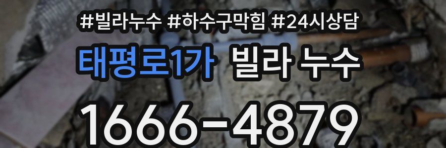 태평로1가 빌라 누수
