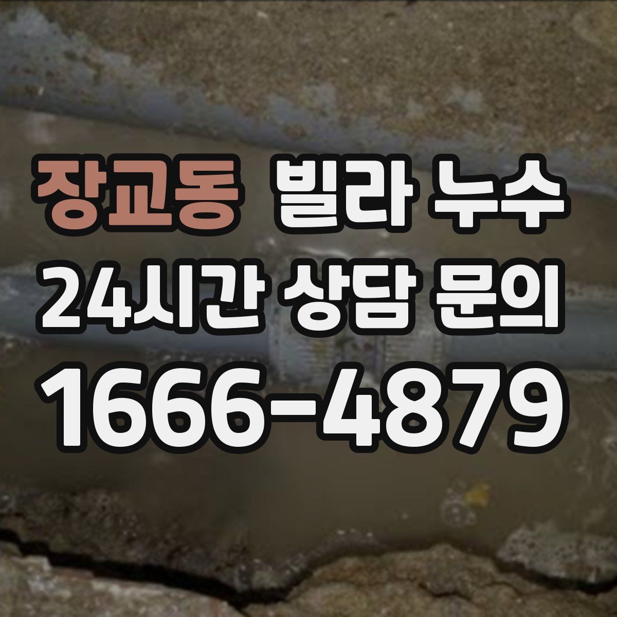 장교동 빌라 누수