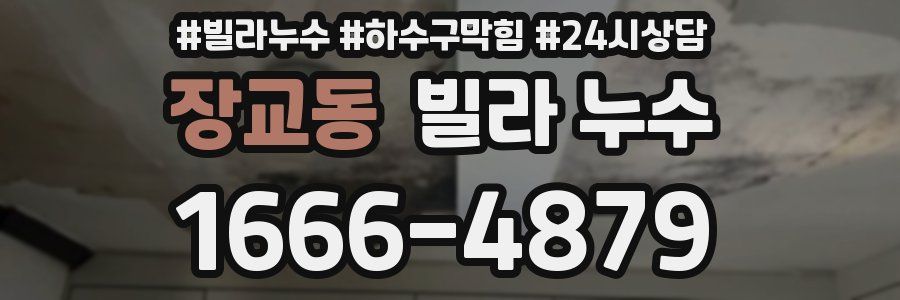 장교동 빌라 누수