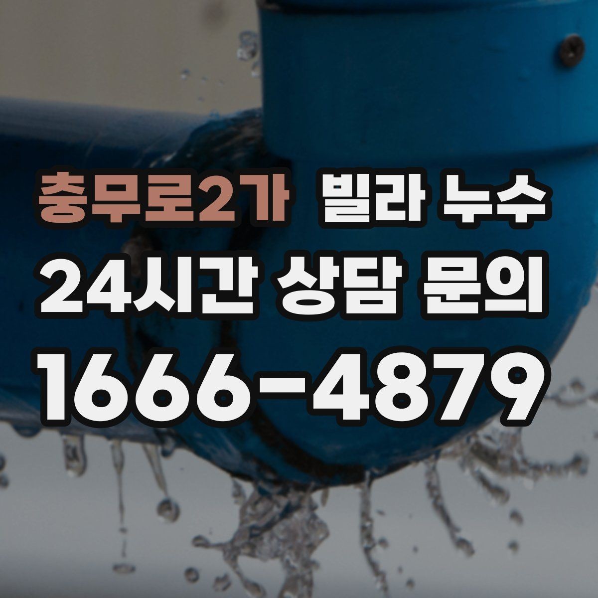 충무로2가 빌라 누수 베란다 물고임이 실내 누수처럼 보일 때