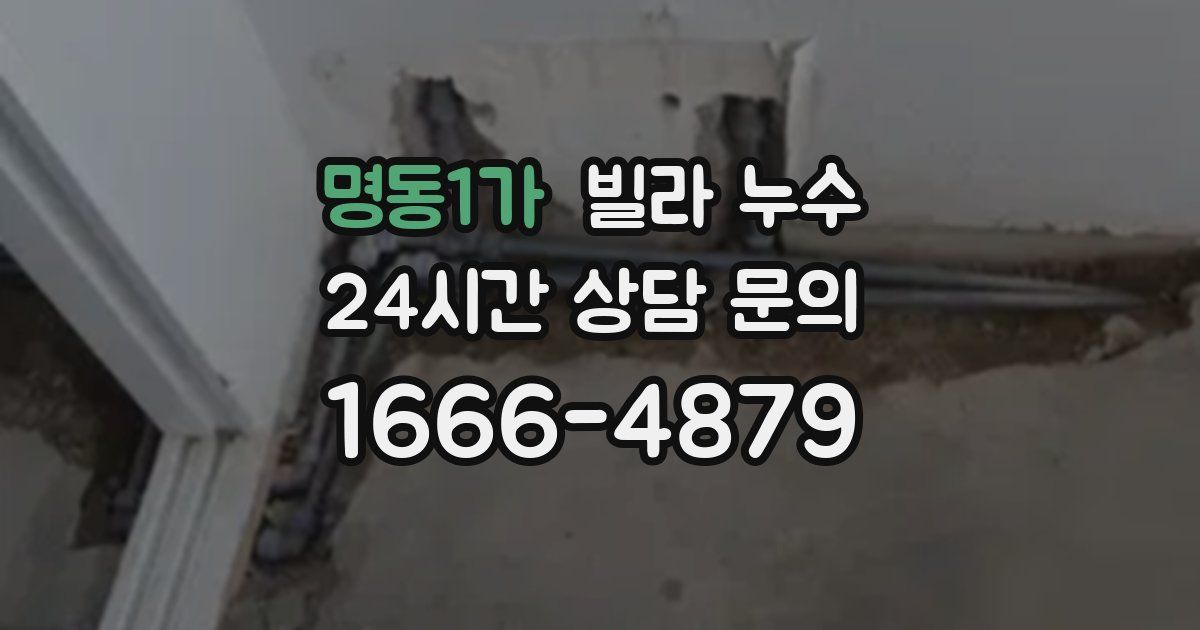 명동1가 빌라 누수