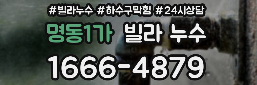 명동1가 빌라 누수