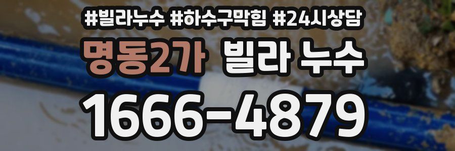 명동2가 빌라 누수