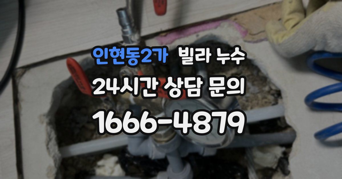 인현동2가 빌라 누수