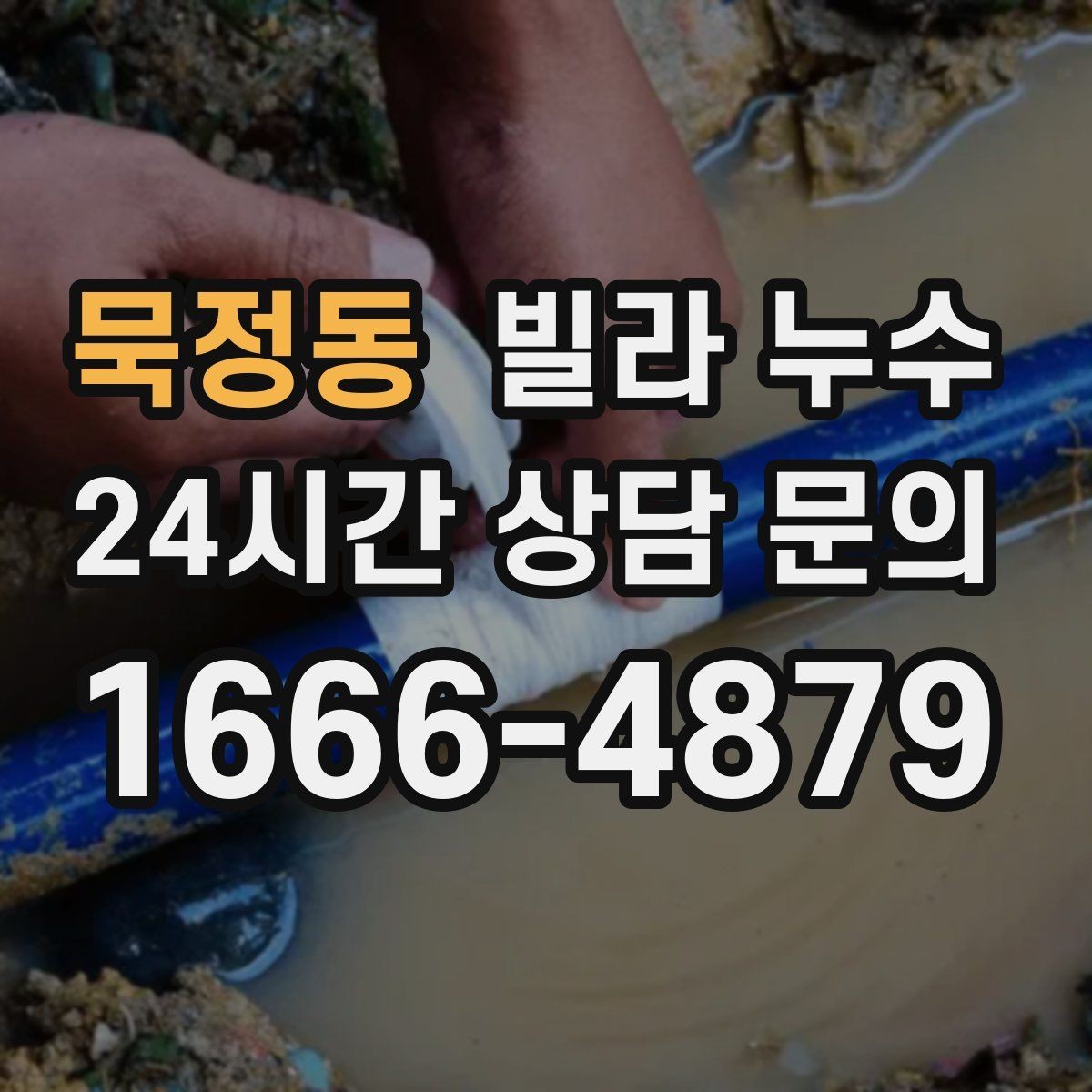 묵정동 빌라 누수 천장 주변에서 퀴퀴한 냄새가 올라올 때