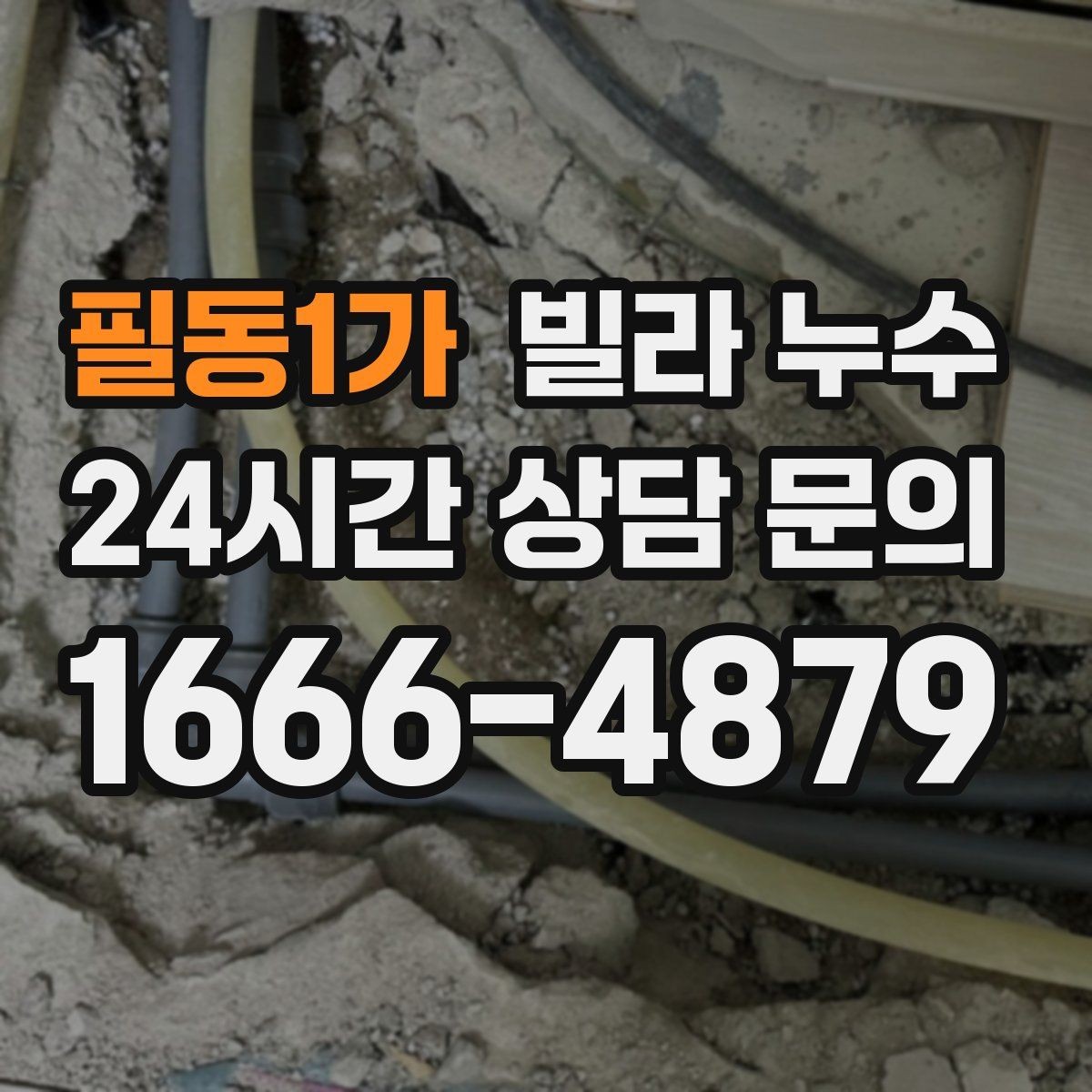 필동1가 빌라 누수 세탁실 배수구가 넘치면 누수처럼 보일 수 있어요
