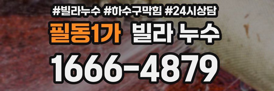 필동1가 빌라 누수