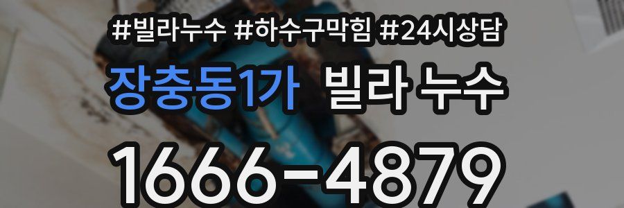 장충동1가 빌라 누수