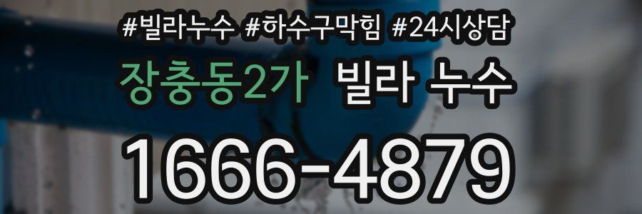 장충동2가 빌라 누수