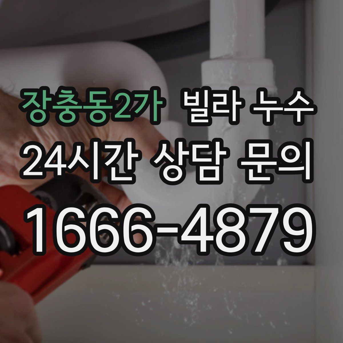 장충동2가 빌라 누수