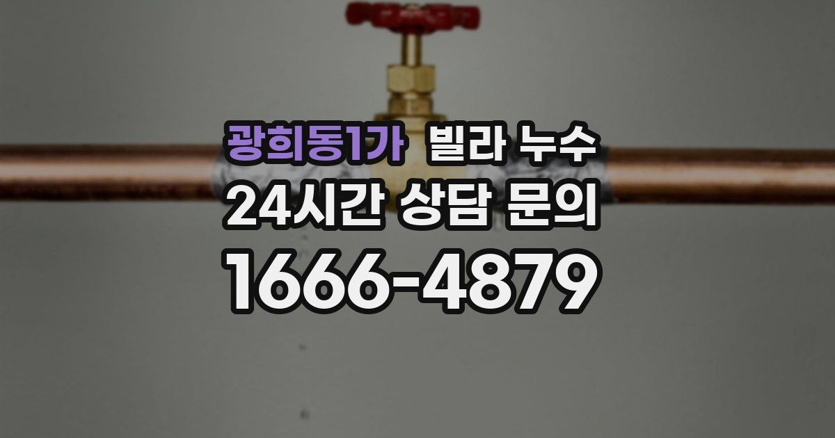 광희동1가 빌라 누수