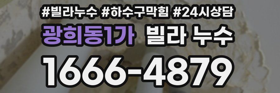 광희동1가 빌라 누수