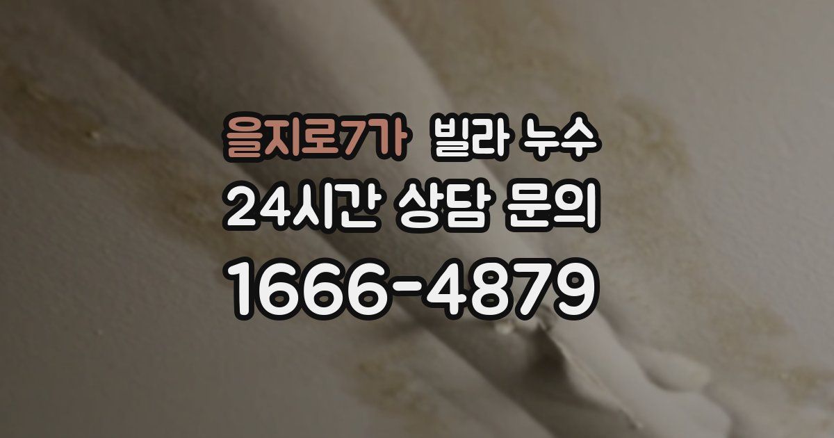 을지로7가 빌라 누수
