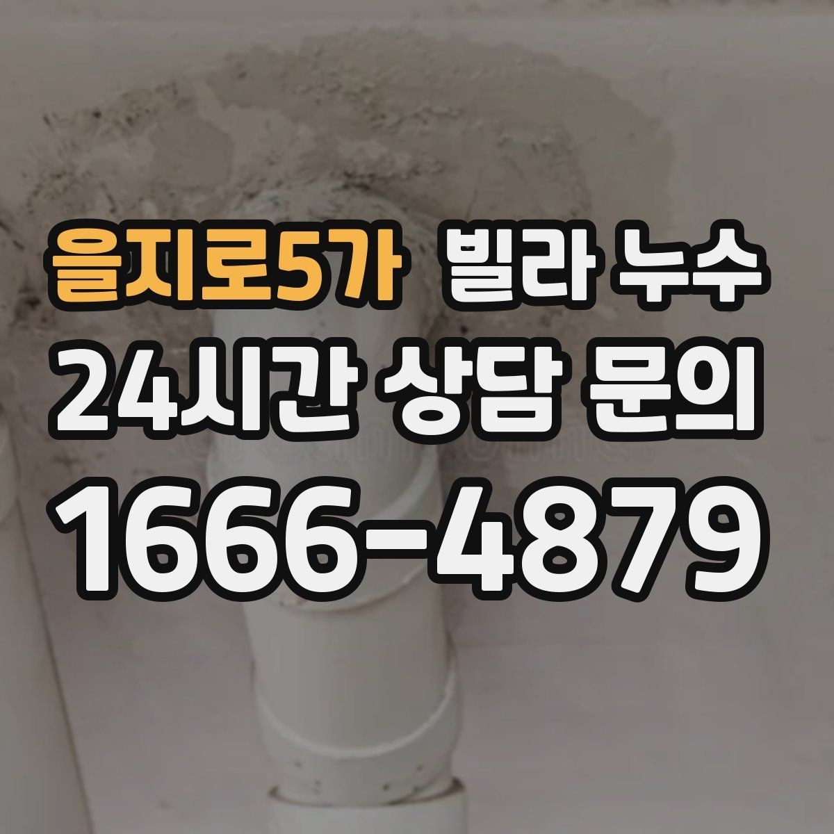 을지로5가 빌라 누수 배수구 주변이 항상 젖어 있다면