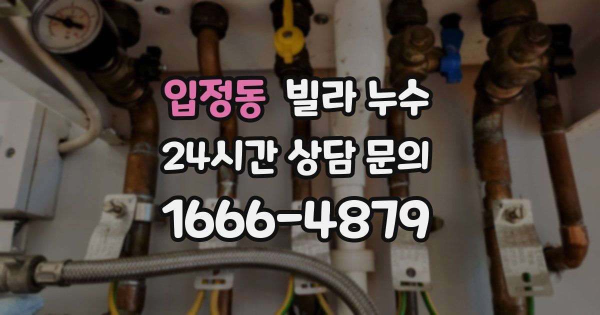 입정동 빌라 누수