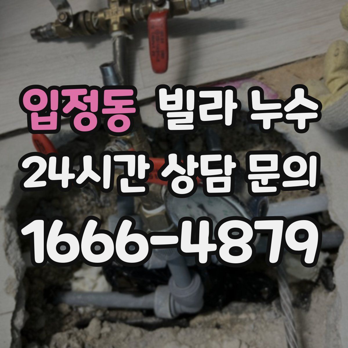 입정동 빌라 누수