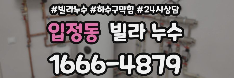 입정동 빌라 누수