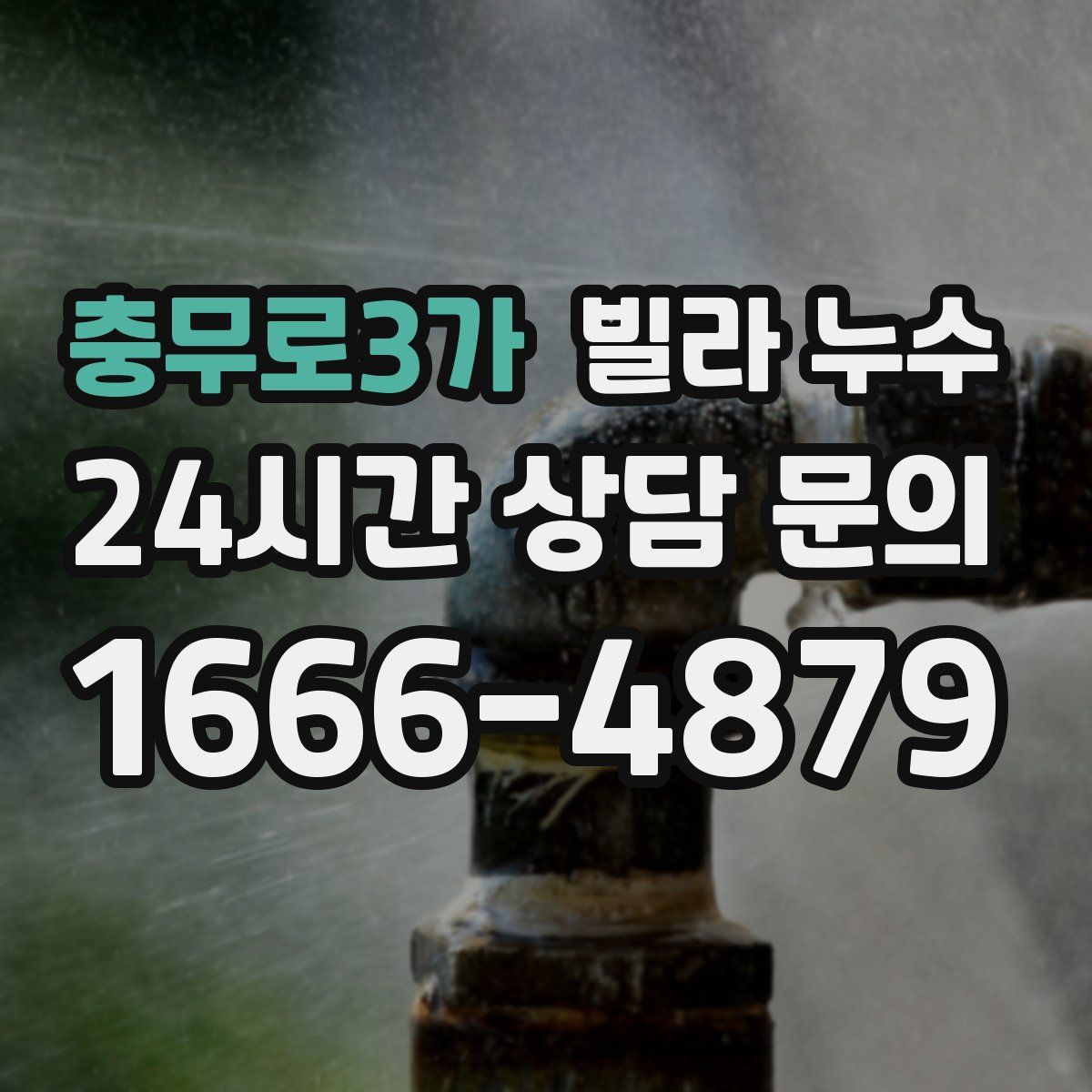 충무로3가 빌라 누수