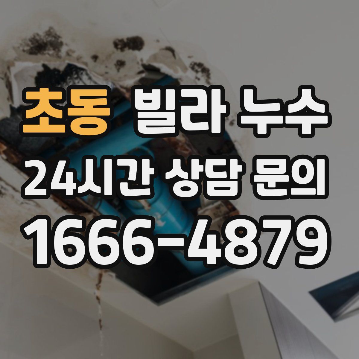 초동 빌라 누수