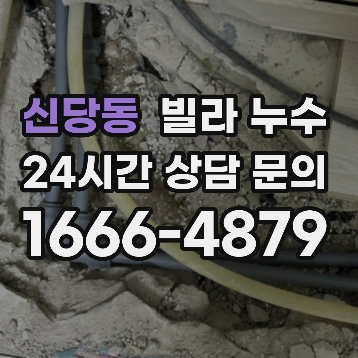 신당동 빌라 누수