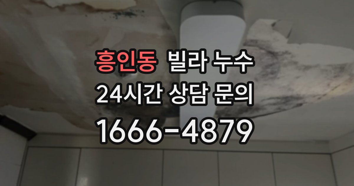 흥인동 빌라 누수